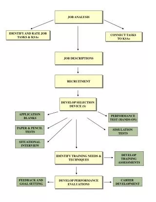 JOB ANALYSIS