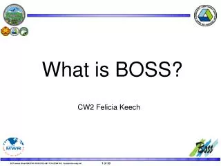 What is BOSS?