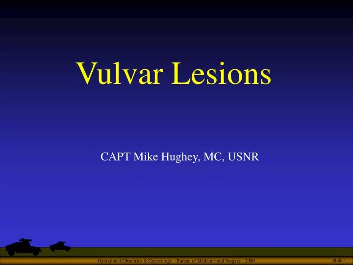 vulvar lesions