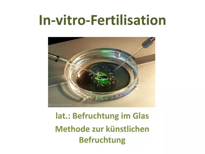 in vitro fertilisation
