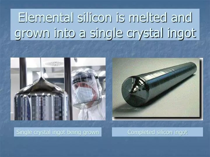elemental silicon is melted and grown into a single crystal ingot