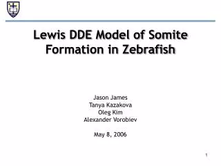 Lewis DDE Model of Somite Formation in Zebrafish