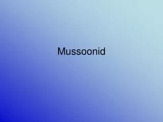Mussoonid