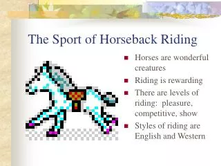 The Sport of Horseback Riding