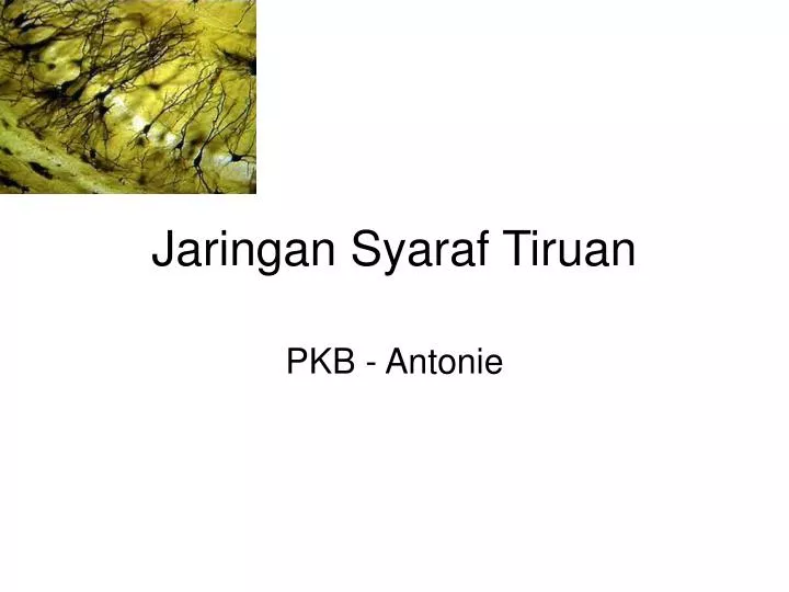 jaringan syaraf tiruan