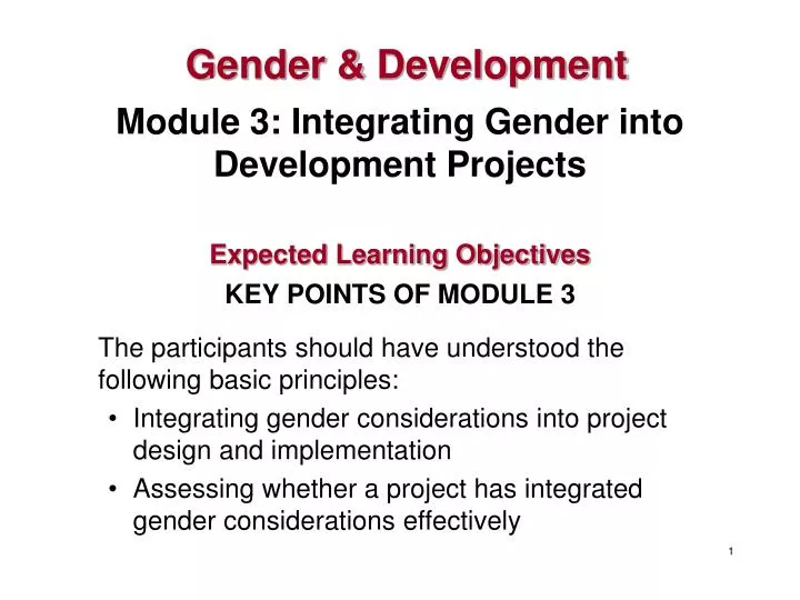 module 3 integrating gender into development projects