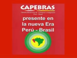 “La Alianza Estrategica Peru Brasil: Una Vision Compartida del Futuro Desarrollo de Sudamerica ”