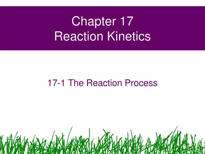 chapter 17 reaction kinetics
