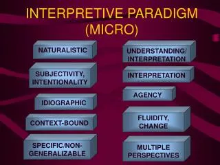 INTERPRETIVE PARADIGM (MICRO)