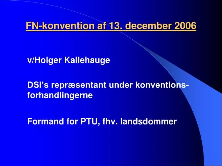 fn konvention af 13 december 2006