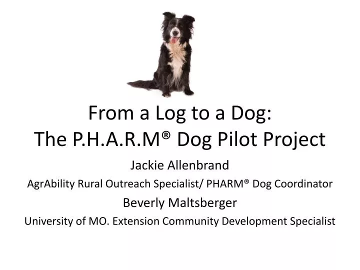 from a log to a dog the p h a r m dog pilot project