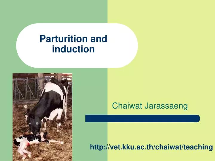 parturition and induction