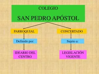 COLEGIO SAN PEDRO APÓSTOL
