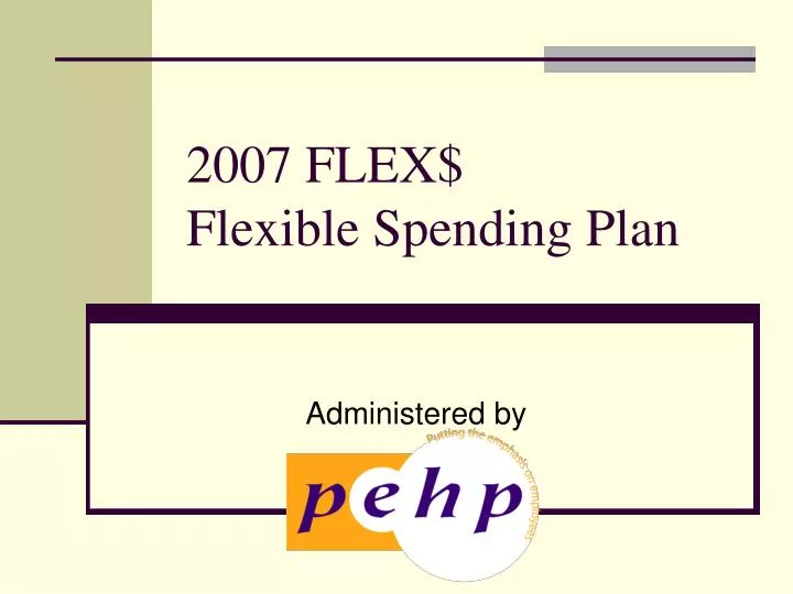 2007 flex flexible spending plan