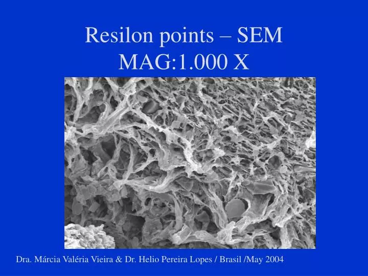 resilon points sem mag 1 000 x