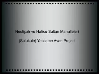 Neslişah ve Hatice Sultan Mahalleleri (Sulukule) Yenileme Avan Projesi