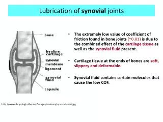 Lubrication of synovial joints