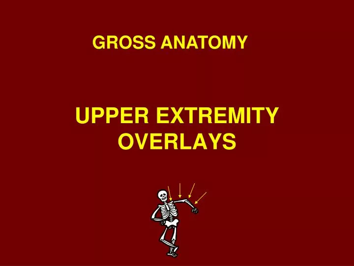 upper extremity overlays