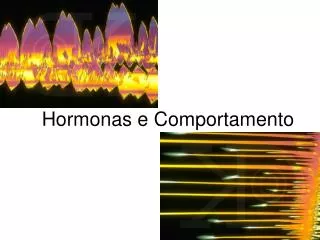 hormonas e comportamento