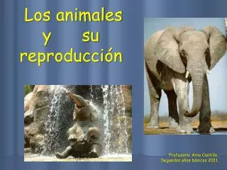 Los animales y su reproducción