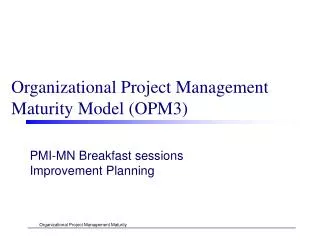 Organizational Project Management Maturity Model (OPM3)