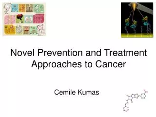Novel Prevention and Treatment Approaches to Cancer