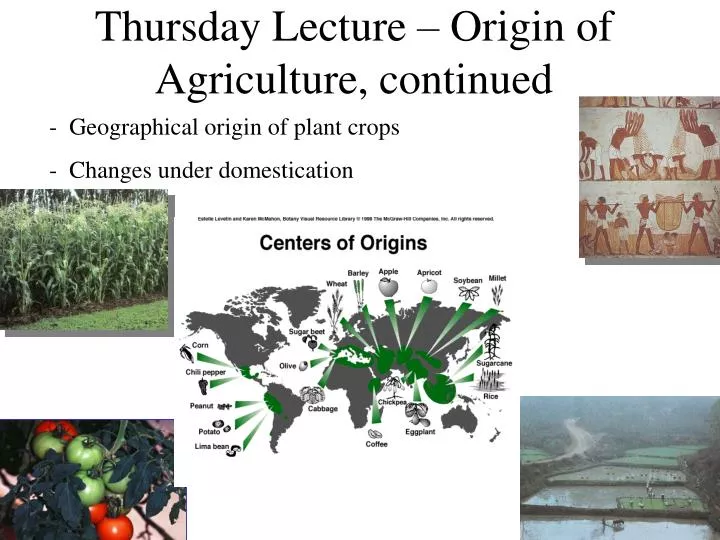 thursday lecture origin of agriculture continued