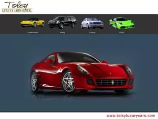 Rent Exotic & Sports Car In Florida