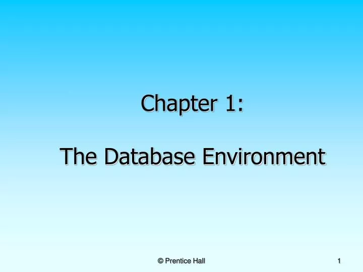chapter 1 the database environment