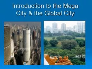 Introduction to the Mega City &amp; the Global City