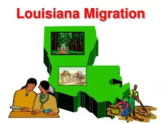 Louisiana Migration