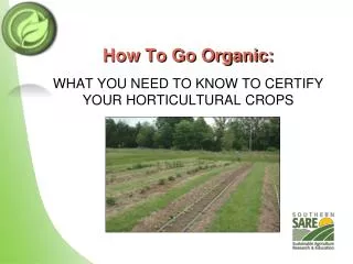 How To Go Organic: