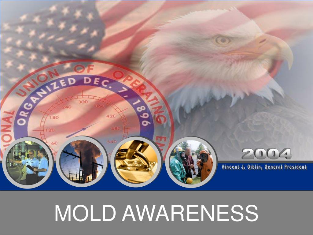 PPT - MOLD AWARENESS PowerPoint Presentation, free download - ID:823733