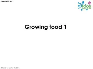 Growing food 1