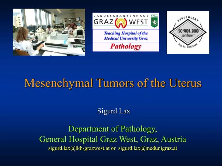 mesenchymal tumors of the uterus