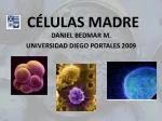 CÉLULAS MADRE - slide 1