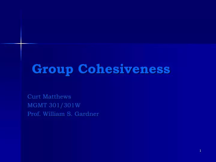 group cohesiveness