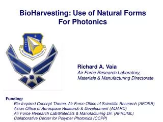 BioHarvesting: Use of Natural Forms For Photonics