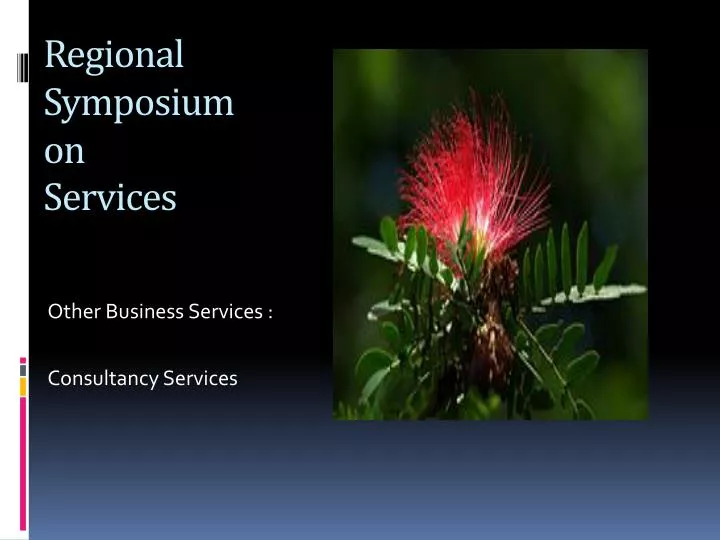 regional symposium on services