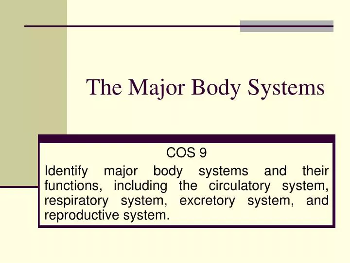 the major body systems