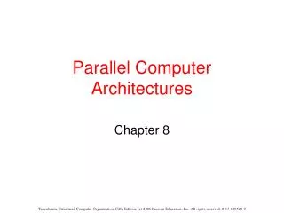 Parallel Computer Architectures