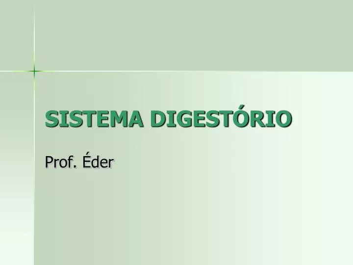 sistema digest rio