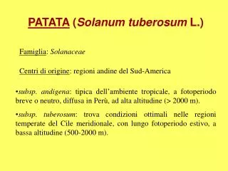 PATATA ( Solanum tuberosum L.)