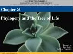 Phylogeny and the Tree of Life - slide 1