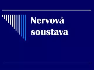 nervov soustava