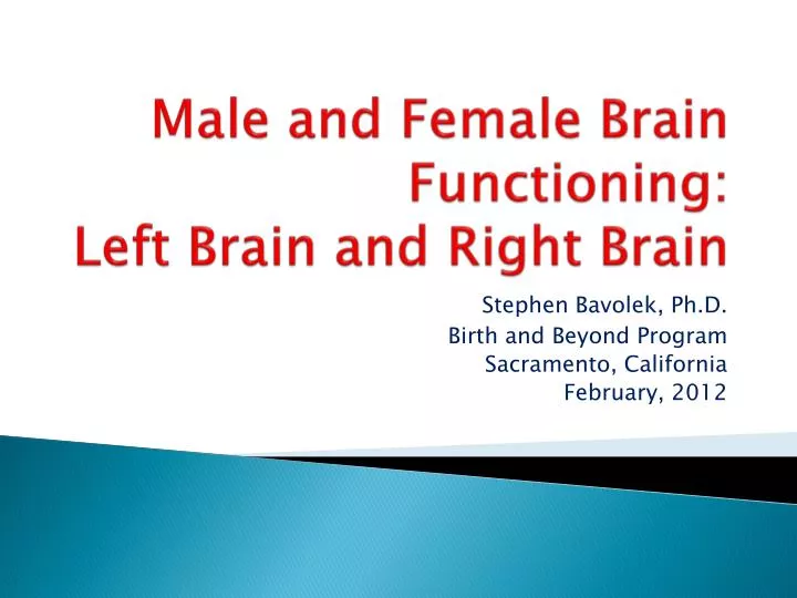 male and female b rain functioning left brain and right brain