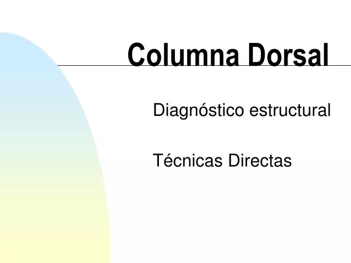 columna dorsal