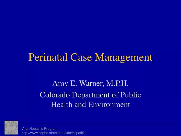 perinatal case management