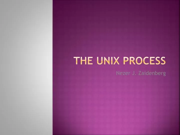 the unix process
