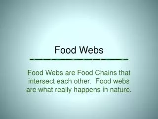 food webs